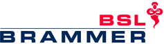 BSL Limited